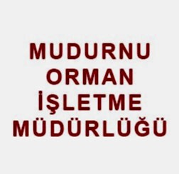 Mudurnu Orman İşletme Müdürlüğü